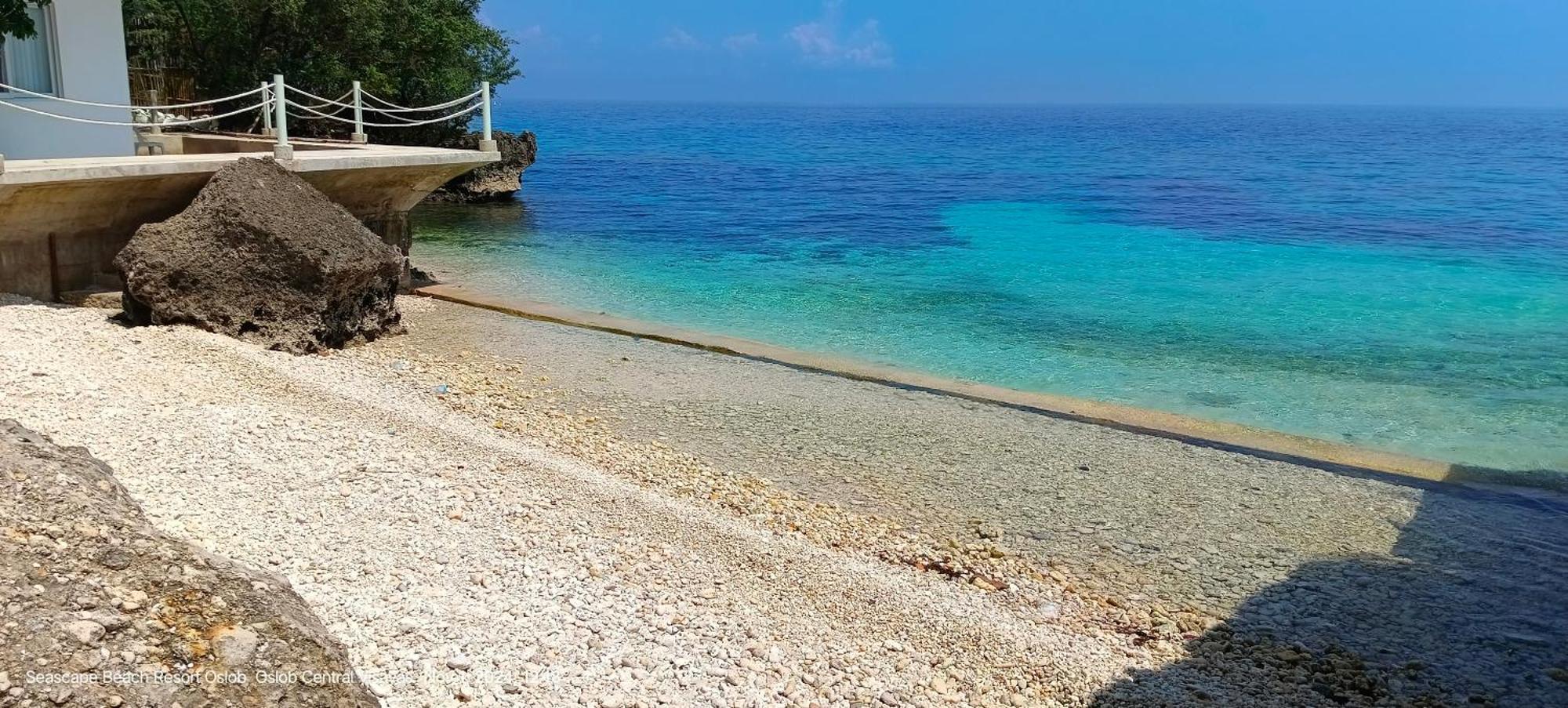 Seascape Beach Resort Oslob Zewnętrze zdjęcie