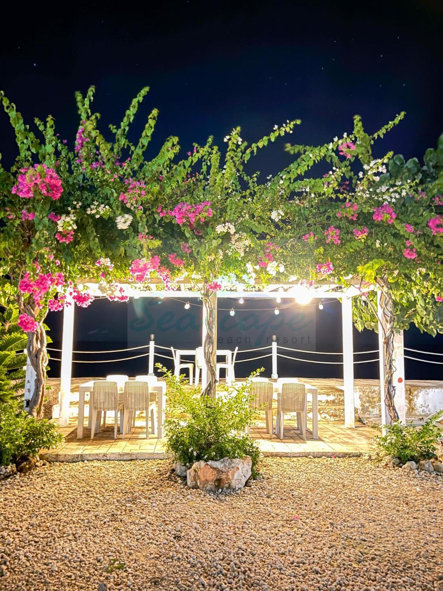 Seascape Beach Resort Oslob Zewnętrze zdjęcie